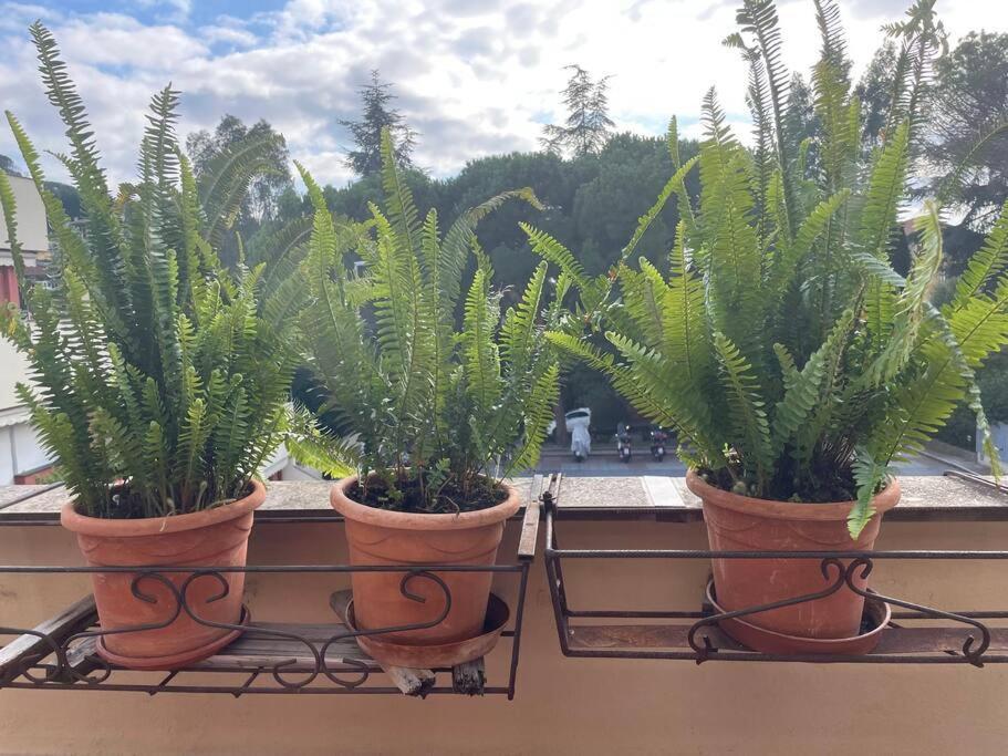 La Casa Di Teri A Chiavari Esterno foto