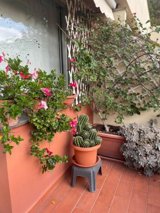 La Casa Di Teri A Chiavari Esterno foto
